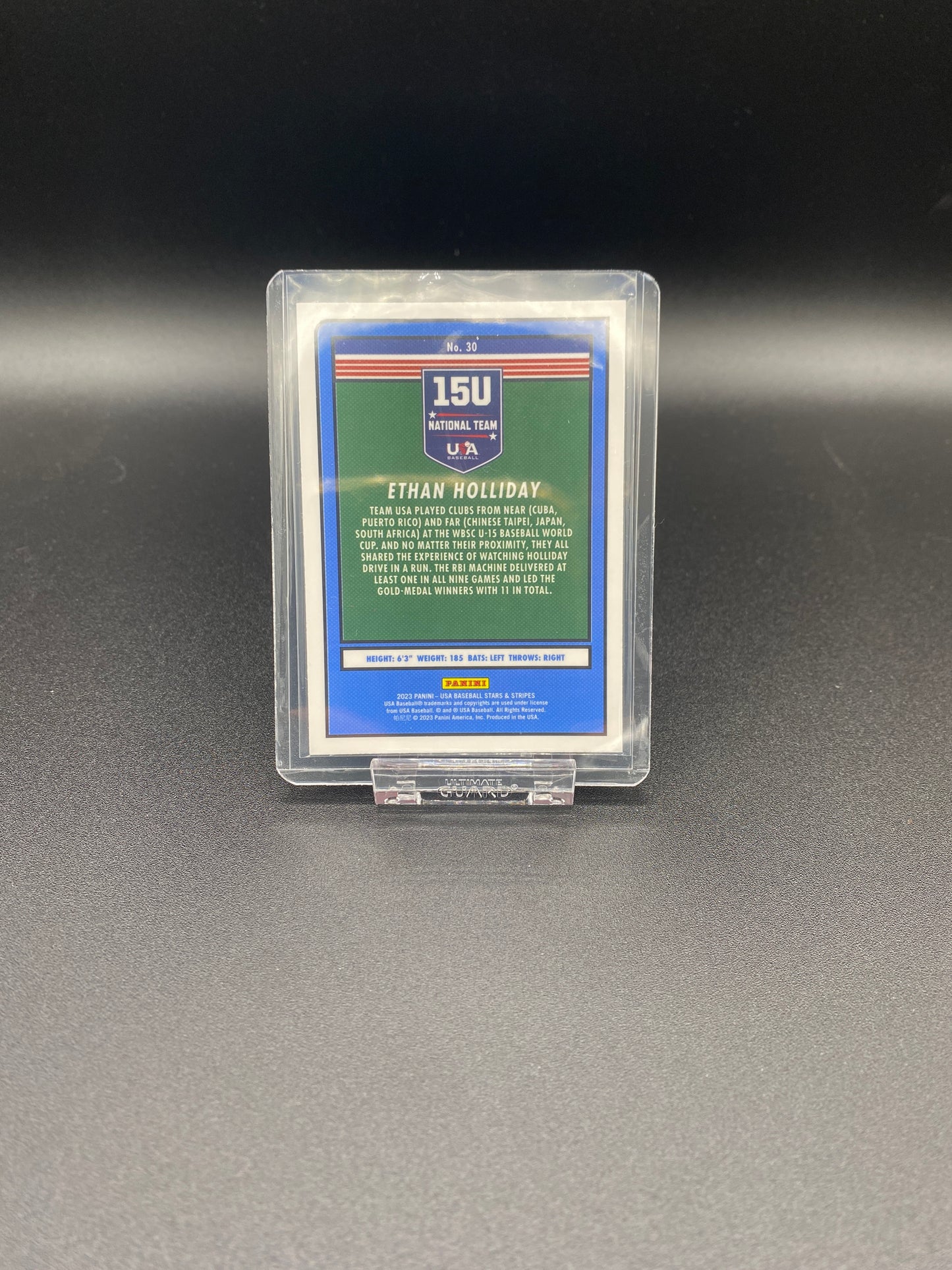 Ethan Holliday USA Baseball Stars and Stripes 15u National Team